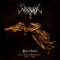 NORDVARGR - Pyrrhula