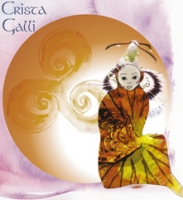 CRISTA GALLI - Hayaku