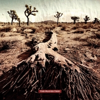 THE PRAYER TREE - The Prayer Tree