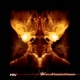 HIV+ - We are all Haunted Houses