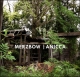 MERZBOW - Anicca