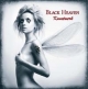 BLACK HEAVEN - Kunstwerk