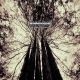 ISZOLOSCOPE - Edge of Certainty