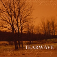 TEARWAVE - Different Shape of Beauty