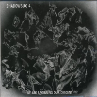 SHADOWBUG 4 - we Are Beginning our Descent