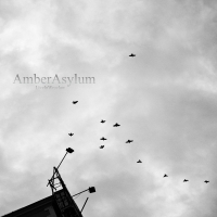 AMBER ASYLUM - Live in Wrozlav (lim300)